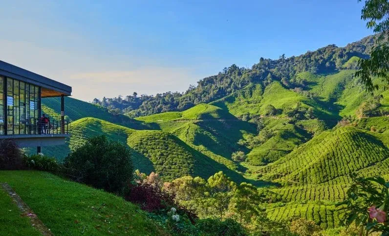 KL Cameron Highlands Adventure